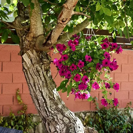 Casa Di Nina Дом отдыха *