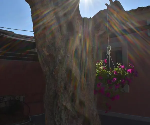 Casa Di Nina *